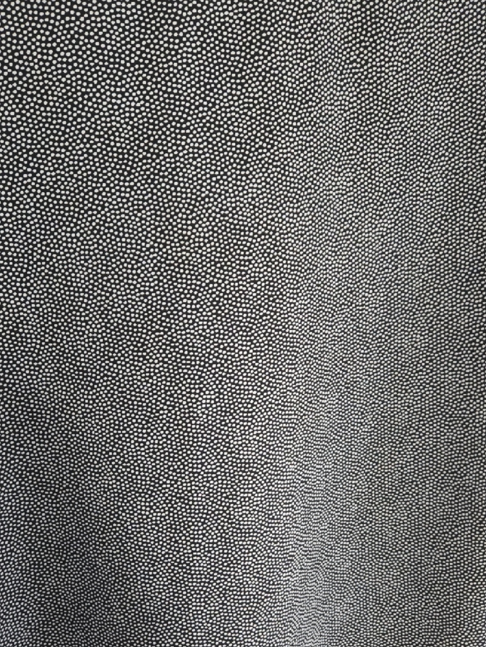 Nicola Black & White Micro‑Dot Blouse – Minimal Luxe Modern Look - Picture 5 of 10